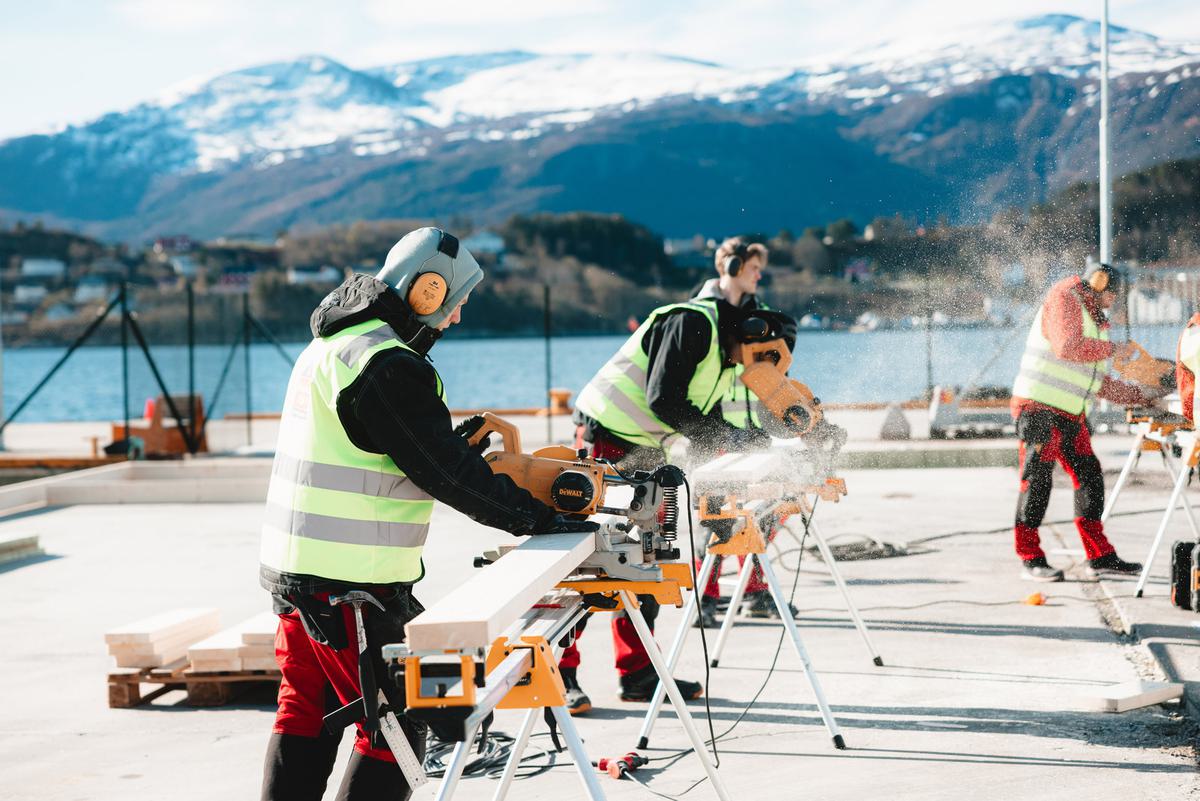Mennesker sager på dugnad