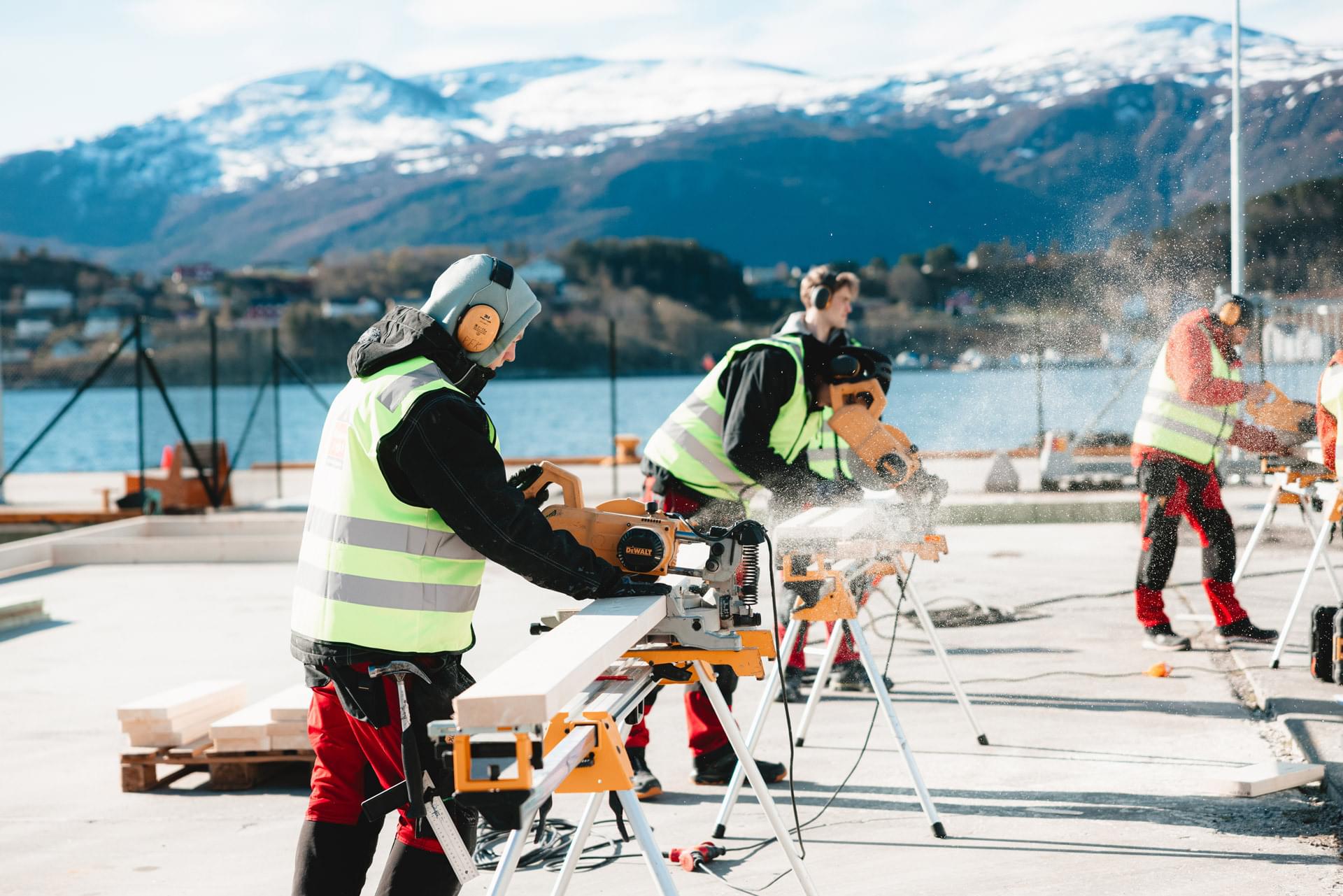 Mennesker sager på dugnad